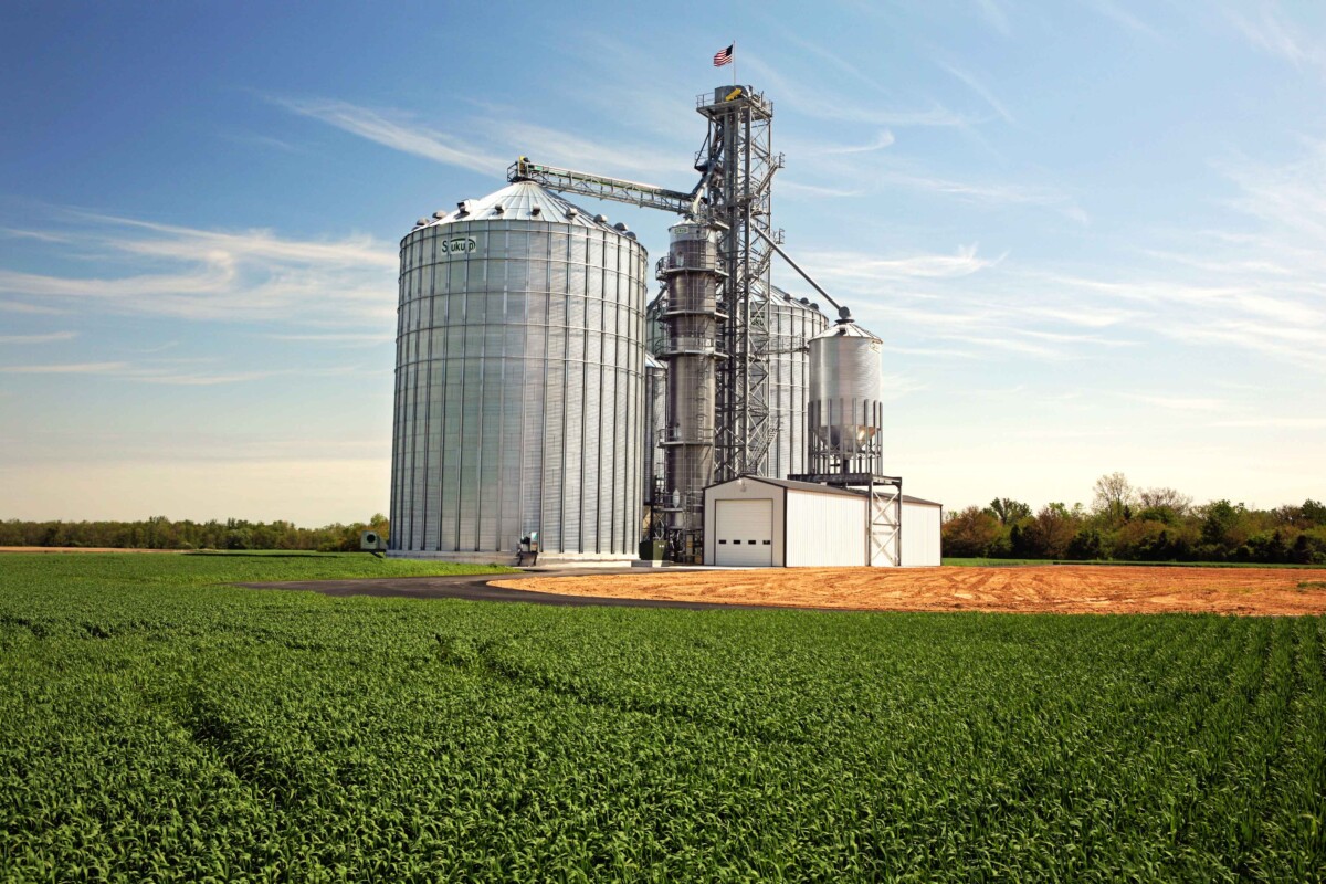 grain